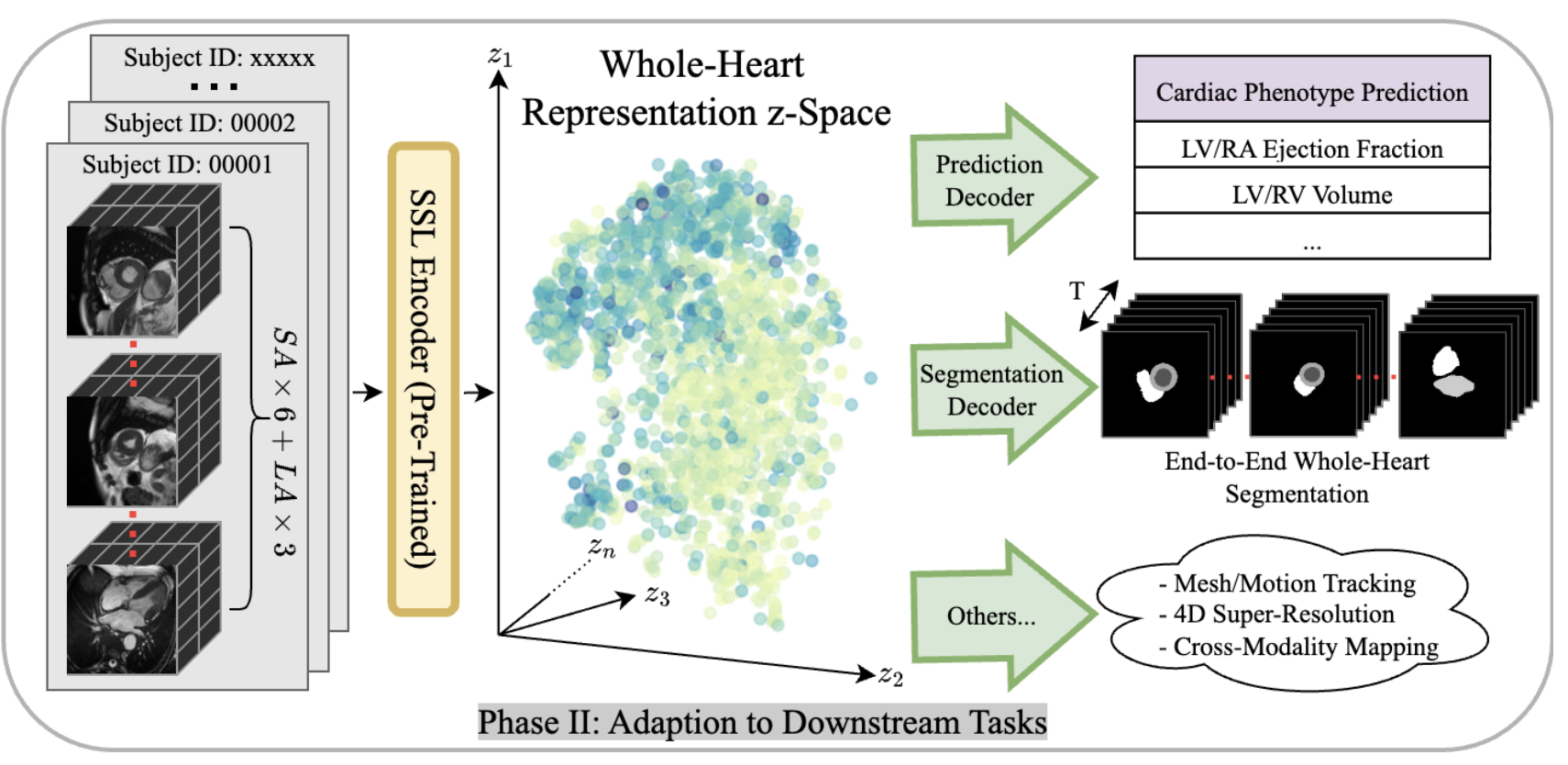 Whole Heart 3D+ T Representation Learning Thumbnail