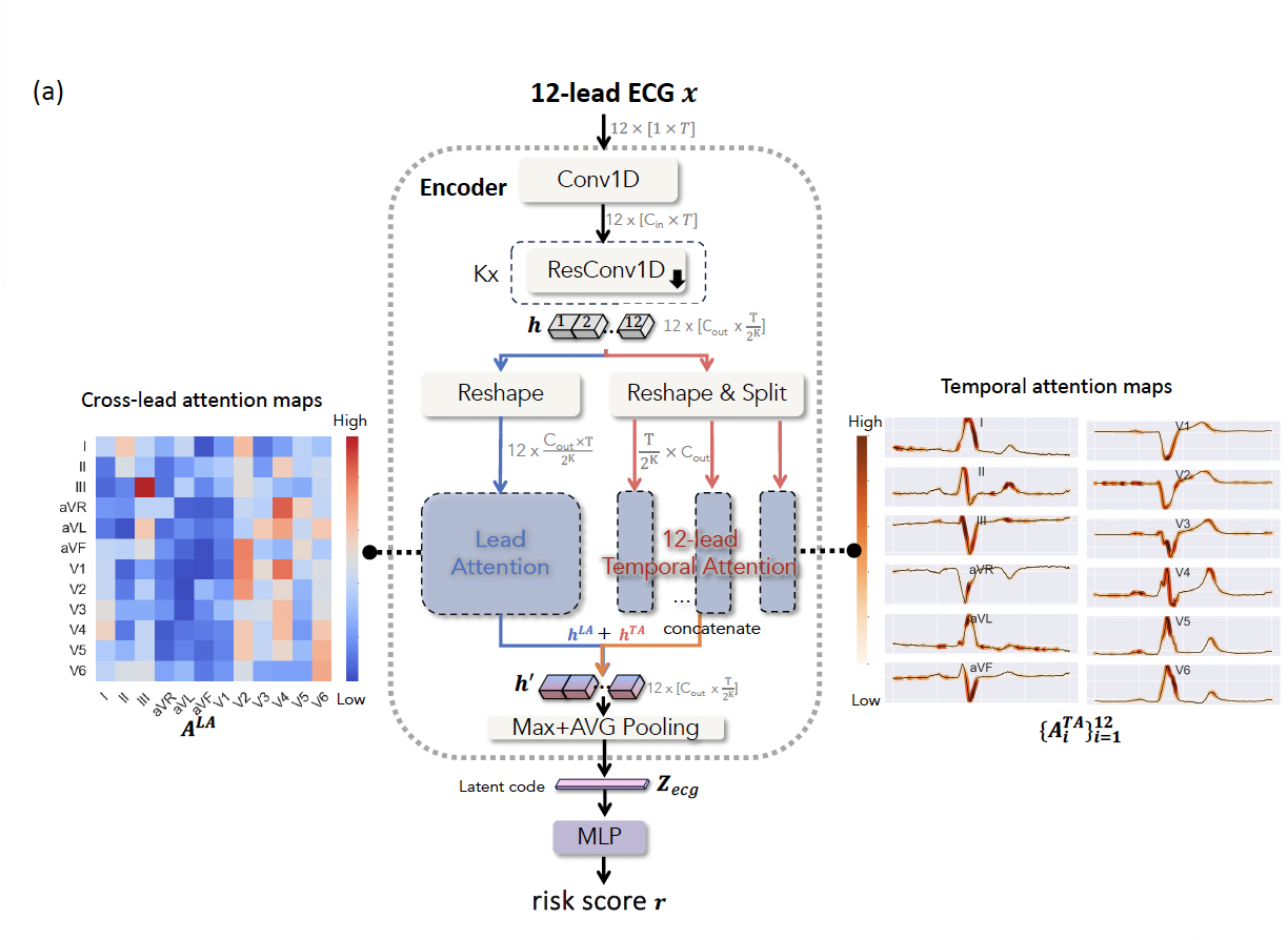 Large Language Model-informed ECG Thumbnail